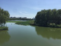 -大兴滨河森林公园