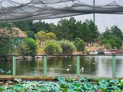 -鄱阳湖国家湿地公园
