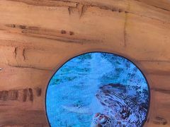 -广州海洋馆