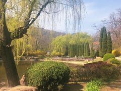 -棒棰岛宾馆景区