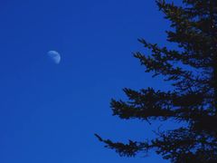 -硗碛藏寨·神木垒景区