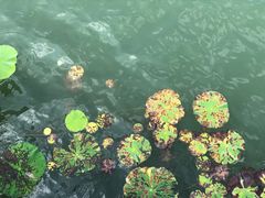 -威海华夏城景区