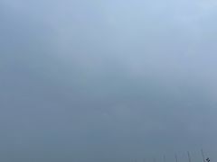 -碧海金沙
