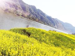 -新安江山水画廊风景区