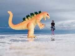 -乌尤尼盐沼