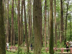 -波尔登森林公园