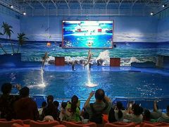 -多彩贵州城极地海洋世界