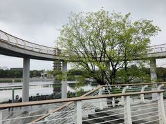 -葛仙湖公园