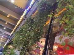 -咕嘟草帽鱼·牛奶一样的鲜鱼汤(包河万达广场创始店)