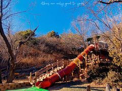 -北京西山国家森林公园