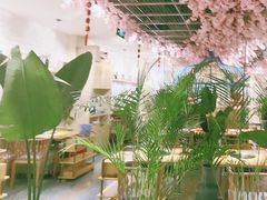 -椰贝原味椰子鸡(江南万达店)