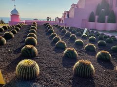 -漳州滨海火山岛自然生态风景区