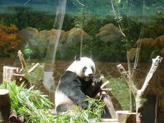 -成都动物园