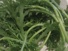 -蒙都43°9羊火锅·赤峰美食(宁城店)