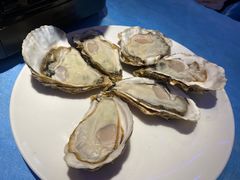 -千岛蚝高压锅生蚝·人参火锅(白云万达店)