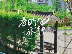 -重庆平顶山公园