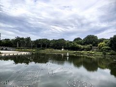 -南宁南湖公园