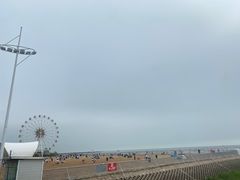-奉贤海滩