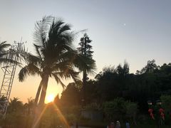 -野狸岛