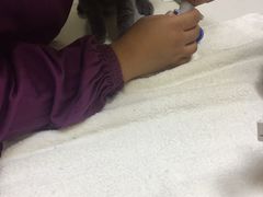 -惠康宠物医院(华能路店)