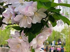 -元大都城垣遗址公园