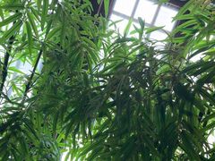 -洞庭土菜馆(天河北总店)