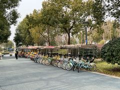 -贡湖湾湿地公园