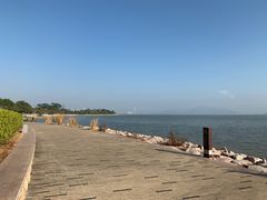 -深圳湾公园(南山区)