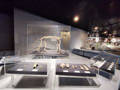 -北京周口店北京人遗址博物馆