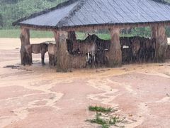 -杭州野生动物世界