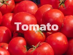 -东川新街市(东川市场店)