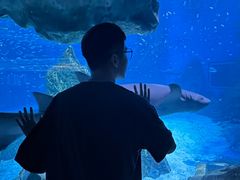 -海合安成都极地海洋公园
