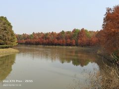 -上海海湾国家森林公园
