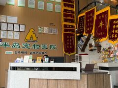 -半岛宠物医院24小时·内窥镜·牙科·碎石中心(府城大道店)