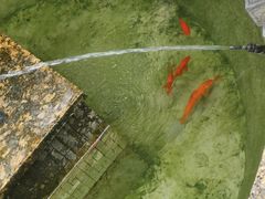 -小榄人家酒楼(民安店)