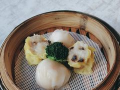 -南海渔村(珠江新城店)