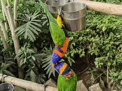 -南宫五洲植物乐园