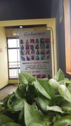 -柯琳造型直营店