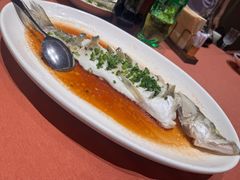 -船歌·鱼水饺青岛菜(闽江二路店)
