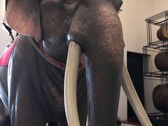-曼谷国家博物馆