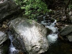 android_upload_pic-少华山国家森林公园