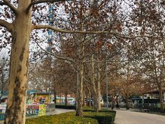 -朝阳公园游乐园