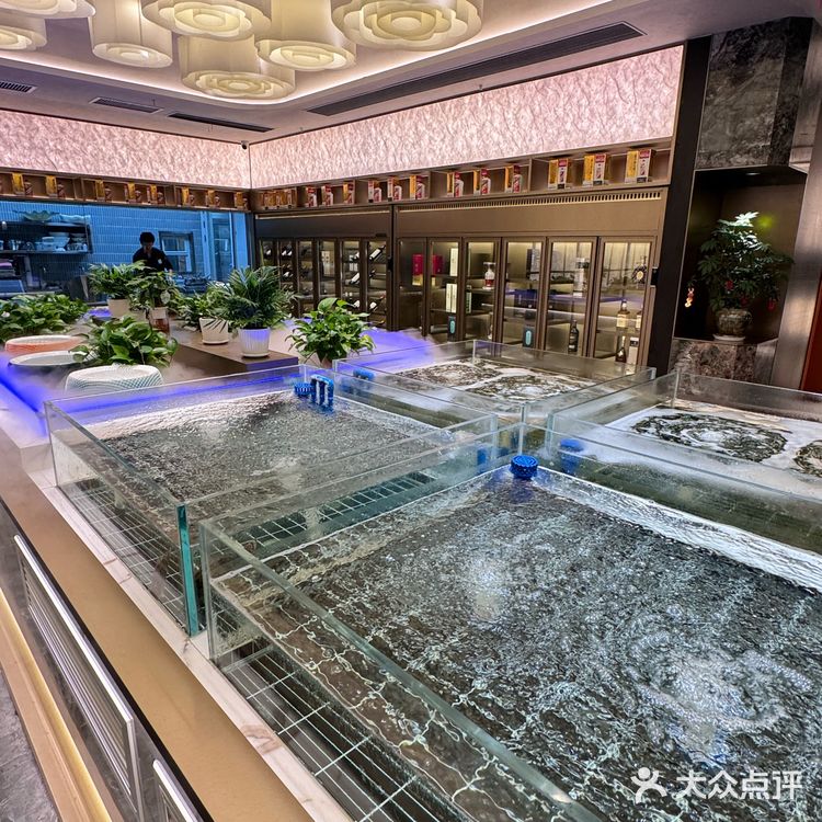 在合肥！这个蒸鸭拐香迷糊的了❗❗❗