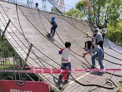 -上海都市菜园