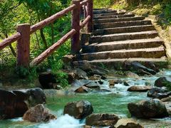 -广州白江湖森林公园