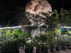 -恬阿姨庭院餐厅·生日宴
