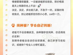 -lincat·猫舍(广州店)