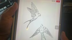 -越域刺青