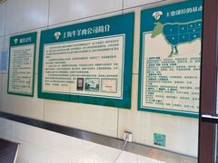 -上海牛羊肉公司塘沽路清真门市部