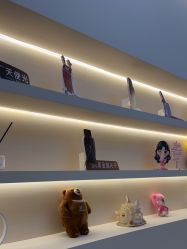 -禾美嘉医疗美容